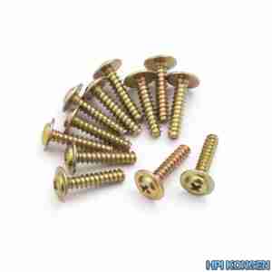 Blackzon 540057 Flange Head Self Tapping Screws PWTHO2.6*12mm